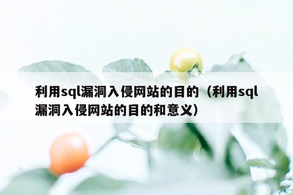 利用sql漏洞入侵网站的目的（利用sql漏洞入侵网站的目的和意义）