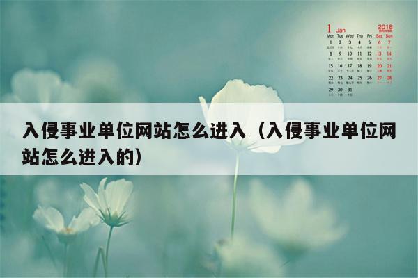 入侵事业单位网站怎么进入（入侵事业单位网站怎么进入的）