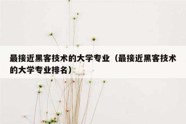 最接近黑客技术的大学专业（最接近黑客技术的大学专业排名）