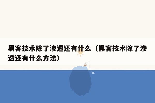 黑客技术除了渗透还有什么（黑客技术除了渗透还有什么方法）